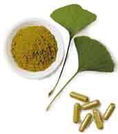 ginkgo biloba is one of the most ancient plants on earth. anti-platelet anticoagulant