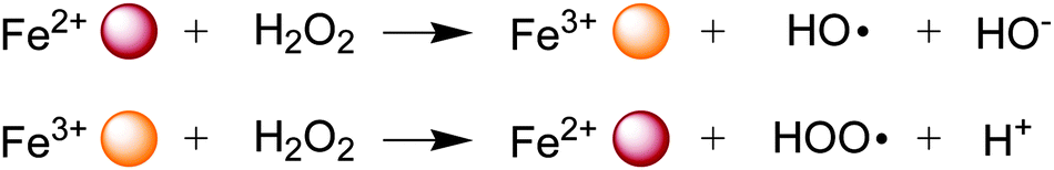 iron participates in the Fenton reaction generating free radicals